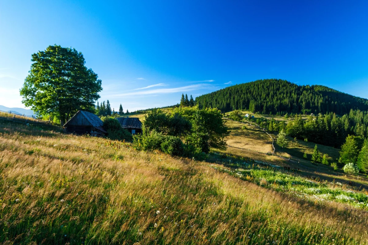Lepsze sposoby jak budować altanki